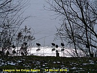 121_10 Longpre.jpg