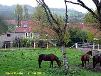 126_04 randopale.jpg