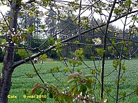 127_04 Caix.jpg