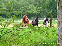 127_05 Caix.jpg