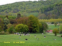 128_01 Contre.jpg