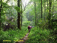 131_13 Gerberoy.jpg