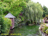 136_06 Millebosc.jpg