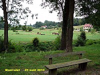 137_05 Montrelet.jpg