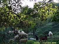 143_02 Cerisy.jpg
