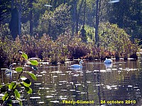 144_09 Thezy-Glimont.jpg