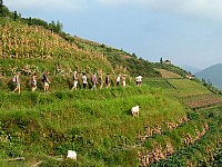 2010_0926Image0132.JPG