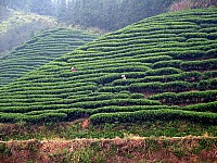 2010_0926Image0330.JPG