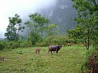 2010_0926Image0428.JPG